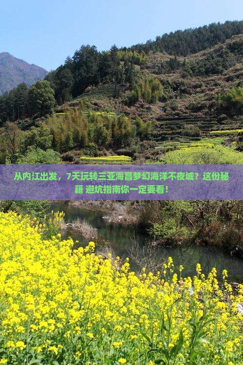 内江前往三亚海昌梦幻海洋不夜城七日游