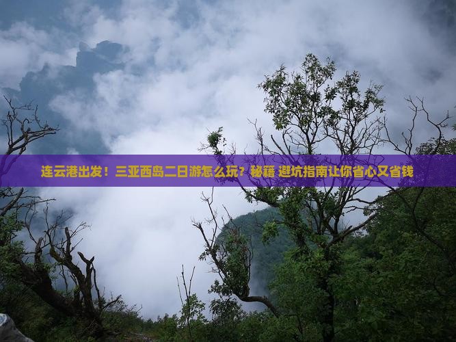 连云港去三亚西岛二日游