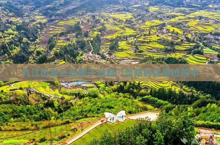 九江出发三亚椰子洲岛门票