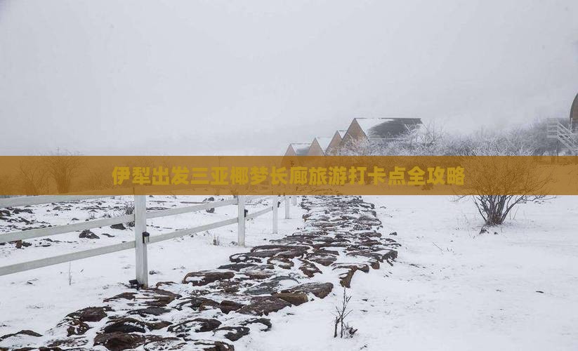 伊犁出发三亚椰梦长廊旅游打卡点