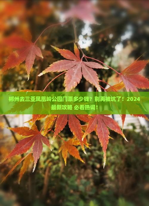 郴州去三亚凤凰岭公园门票