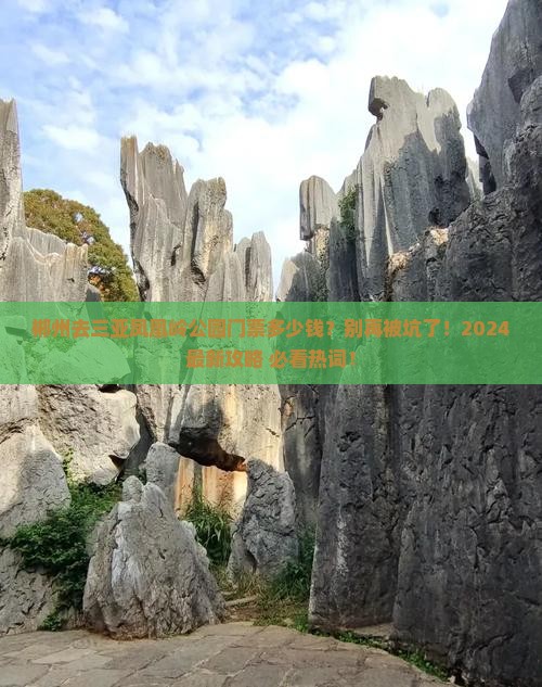 郴州去三亚凤凰岭公园门票