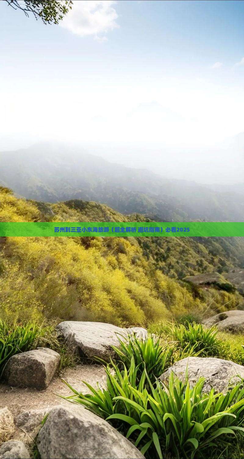 苏州去三亚小东海四日游