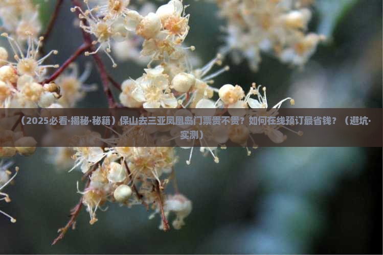 保山前往三亚凤凰岛门票