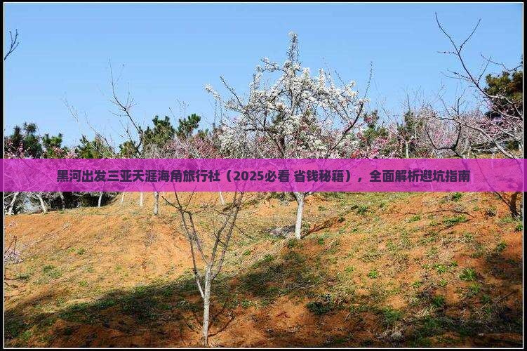 黑河出发三亚天涯海角旅行社 黑河出发三亚天涯海角旅行社