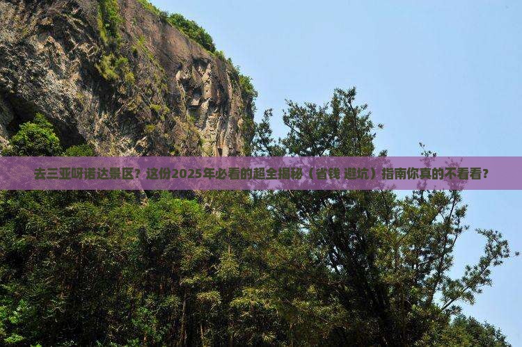 日照去三亚呀诺达景区攻略