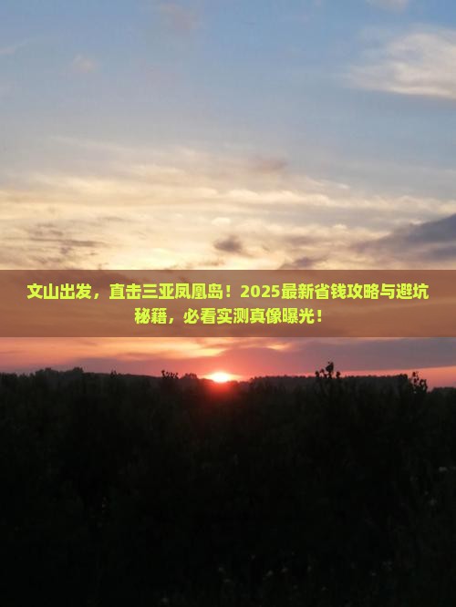 文山前往三亚凤凰岛旅行社