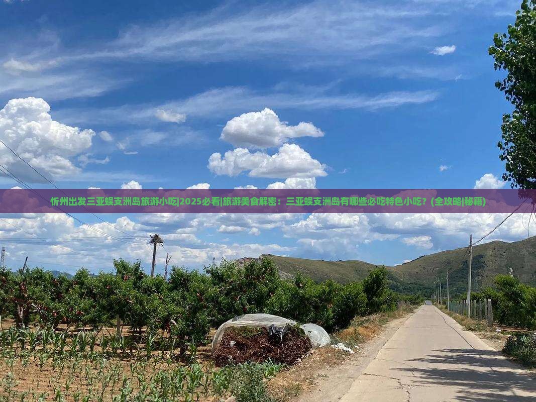 忻州出发三亚蜈支洲岛旅游小吃
