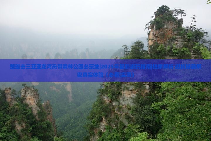 楚雄去三亚亚龙湾热带森林公园必玩地