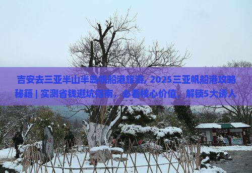 吉安去三亚半山半岛帆船港旅游