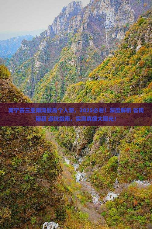 南宁去三亚南湾猴岛个人游