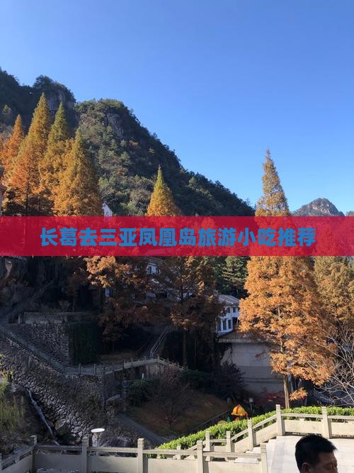 长葛去三亚凤凰岛旅游小吃