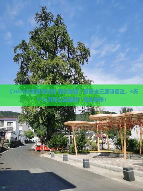 威海前往三亚呀诺达景区个人游