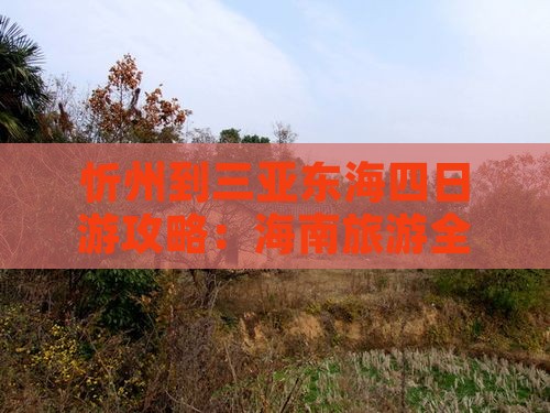 忻州去三亚小东海四日游