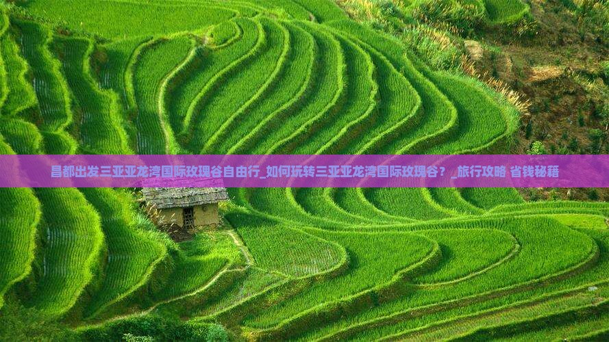 昌都出发三亚亚龙湾国际玫瑰谷自由行