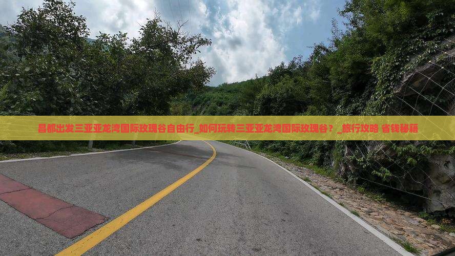 昌都出发三亚亚龙湾国际玫瑰谷自由行