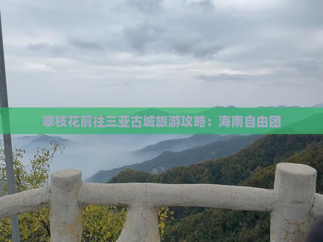 攀枝花前往三亚崖洲古城自由团