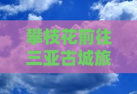 攀枝花前往三亚崖洲古城自由团