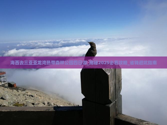 海西去三亚亚龙湾热带森林公园四日游