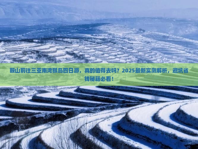 鞍山前往三亚南湾猴岛四日游