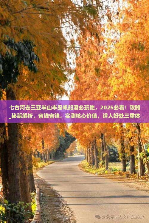七台河去三亚半山半岛帆船港必玩地