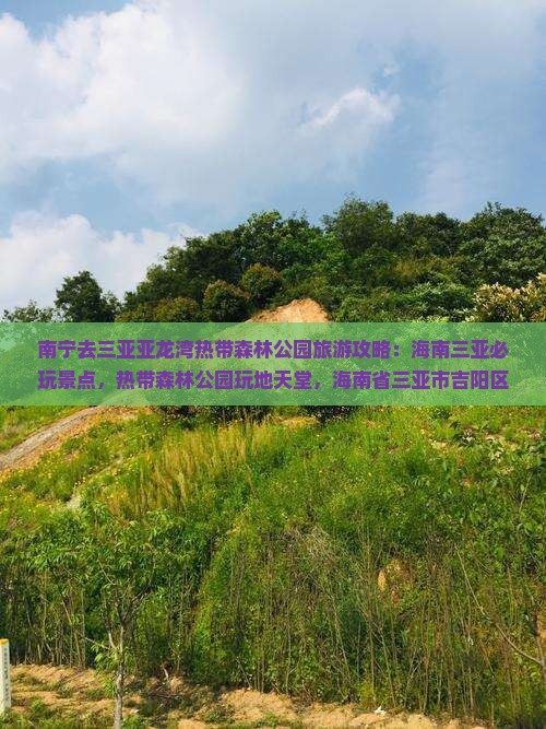 南宁去三亚亚龙湾热带森林公园必玩地
