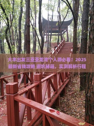 大丰出发三亚亚龙湾个人游