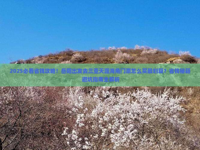 岳阳前往三亚天涯海角门票