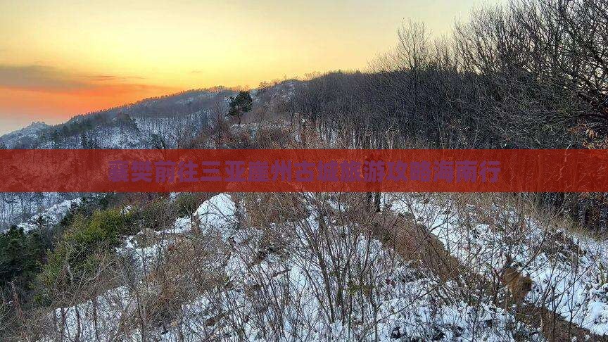 襄樊前往三亚崖洲古城个人游