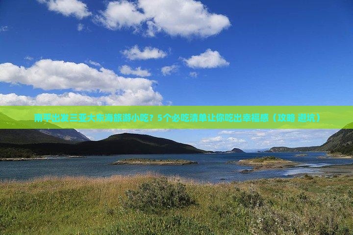 南平出发三亚大东海旅游小吃