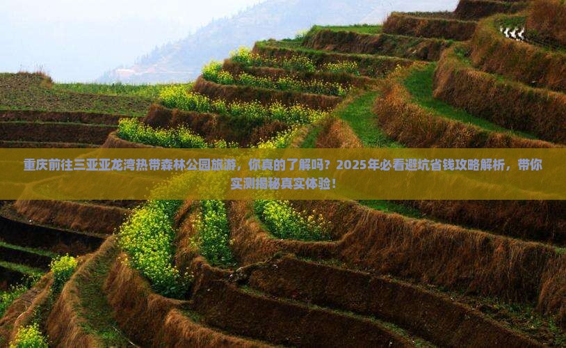 重庆前往三亚亚龙湾热带森林公园旅游