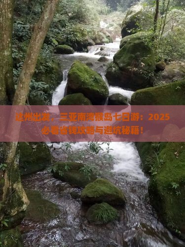 达州去三亚南湾猴岛七日游