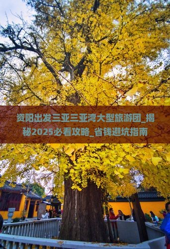 资阳出发三亚三亚湾大型旅游团