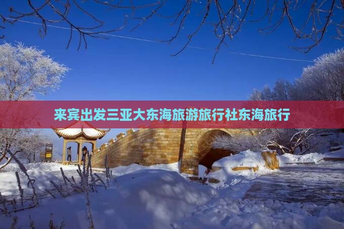 来宾出发三亚大东海旅行社