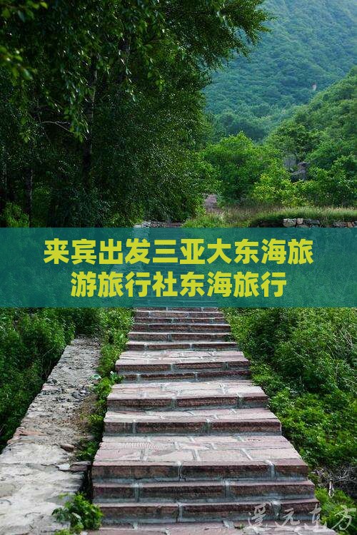 来宾出发三亚大东海旅行社