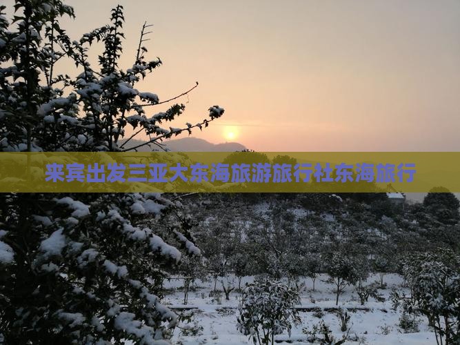 来宾出发三亚大东海旅行社