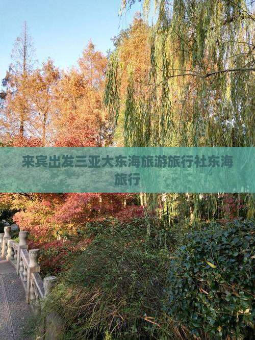 来宾出发三亚大东海旅行社
