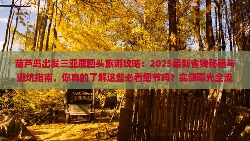 葫芦岛出发三亚鹿回头旅游
