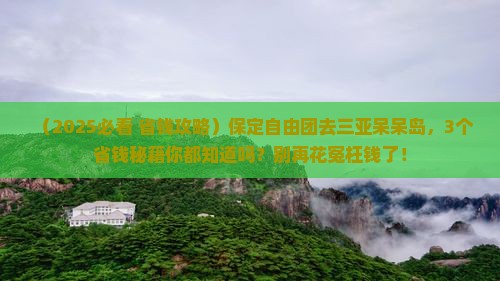 保定前往三亚呆呆岛自由团