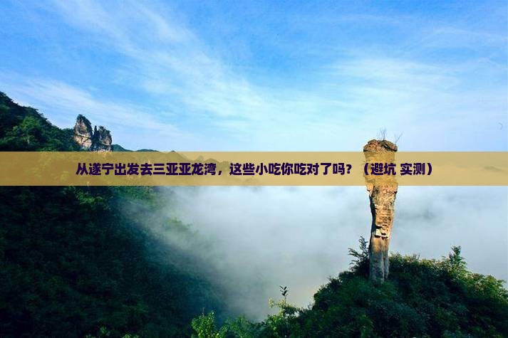 遂宁出发三亚亚龙湾旅游小吃