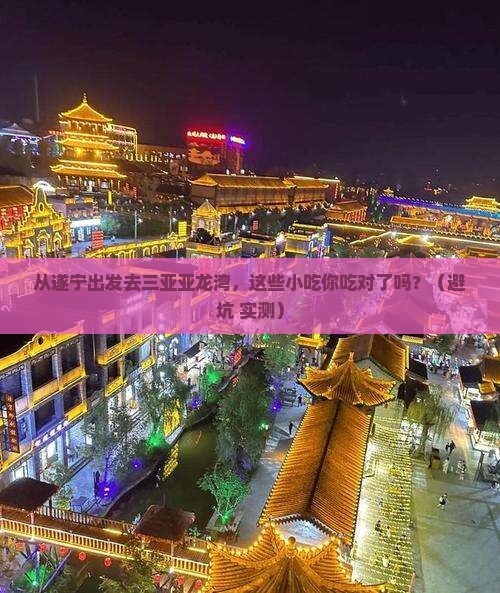 遂宁出发三亚亚龙湾旅游小吃