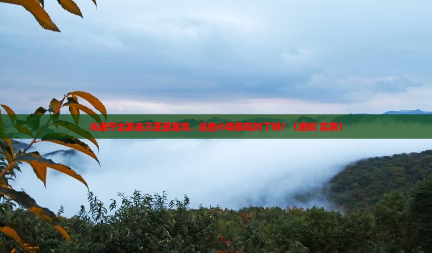遂宁出发三亚亚龙湾旅游小吃