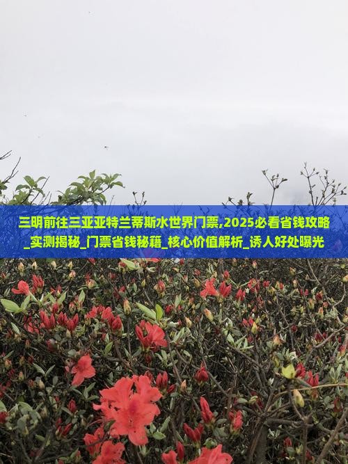 三明前往三亚亚特兰蒂斯水世界门票