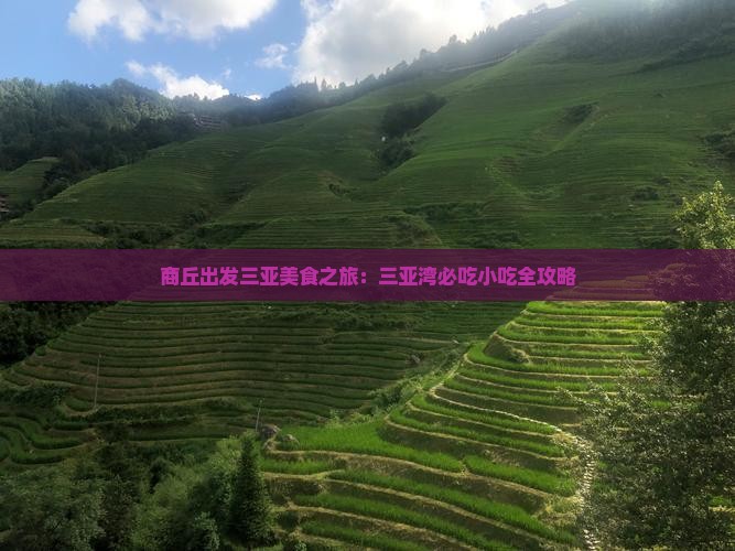 商丘出发三亚三亚湾旅游小吃