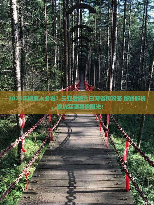桐城去三亚后海六日游