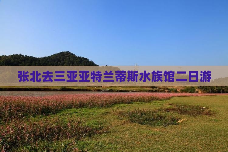张北去三亚亚特兰蒂斯水族馆二日游