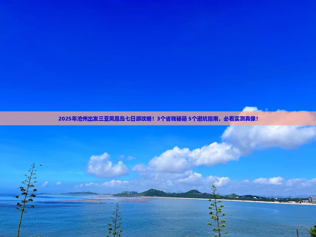 沧州出发三亚凤凰岛七日游