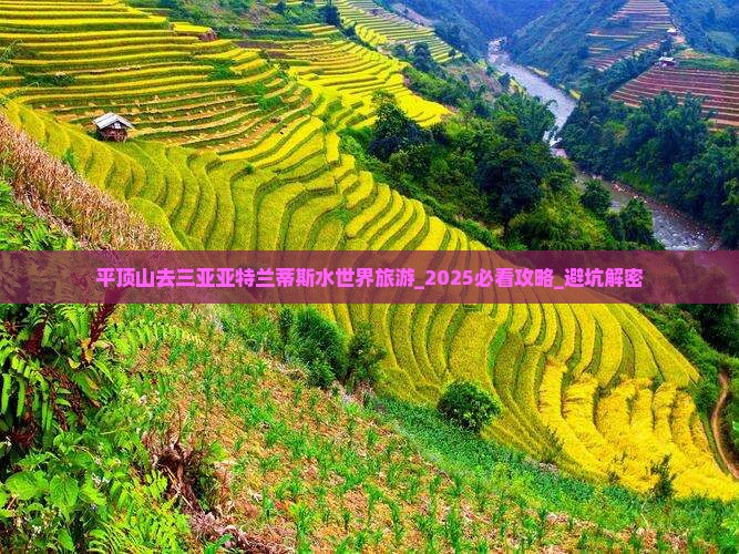 平顶山去三亚亚特兰蒂斯水世界旅游