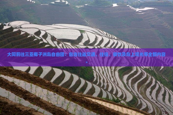 大同前往三亚椰子洲岛自由团