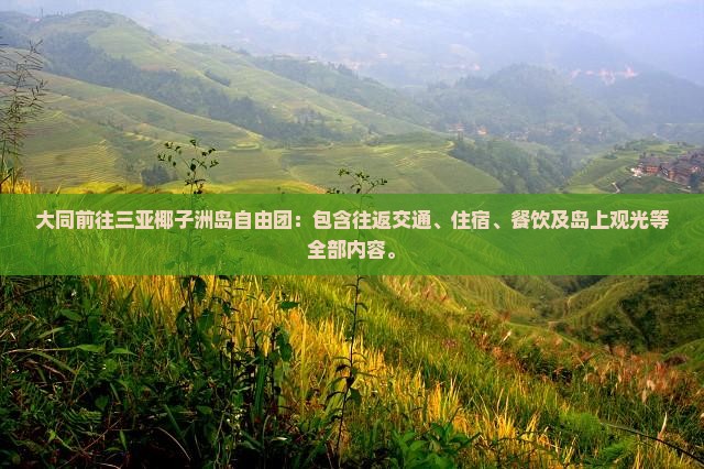 大同前往三亚椰子洲岛自由团